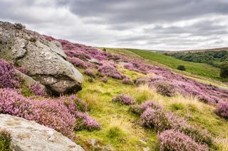 North York Moors National Park - Goathland