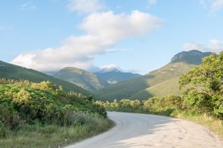 Montagu Pass - George