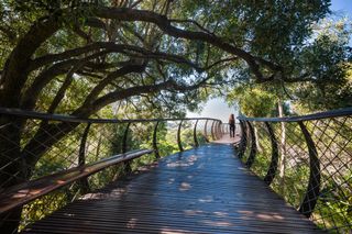 Kirstenbosch Gardens - Cape Town