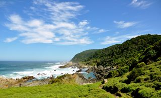 Tsitsikamma National Park - Plettenberg Bay