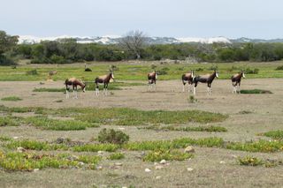 Overberg - Swellendam