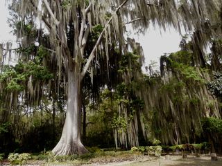 Parque El Gallineral - San Gil