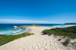 Robberg Nature & Marine Reserve - Plettenberg Bay