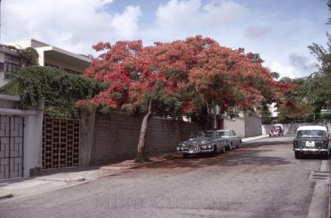 Wiltshire Road, Kowloon Tong 1967