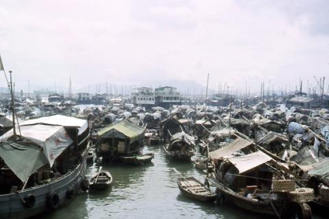 Typhoon Shelter