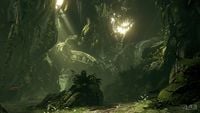 A dense jungle on Requiem.