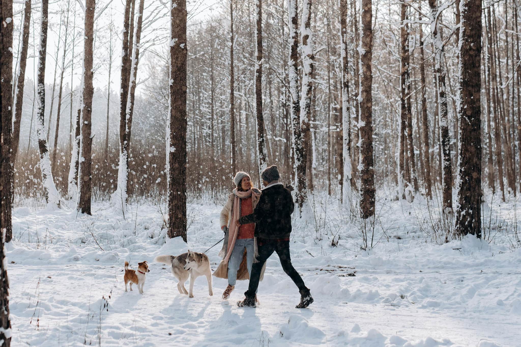 Dec. 31 weather: Over 10 cm of snow possible on New Year's Day in southern Ontario