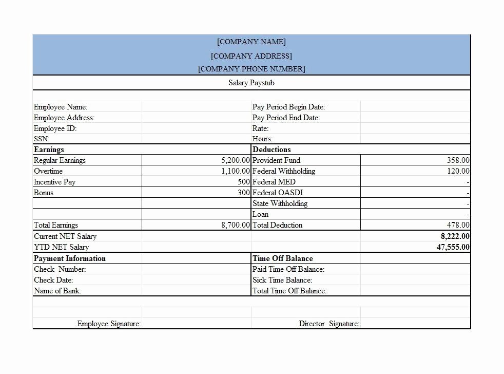 Bonus Plan Template Excel Luxury 29 Great Pay Slip Paycheck Stub Templates Free