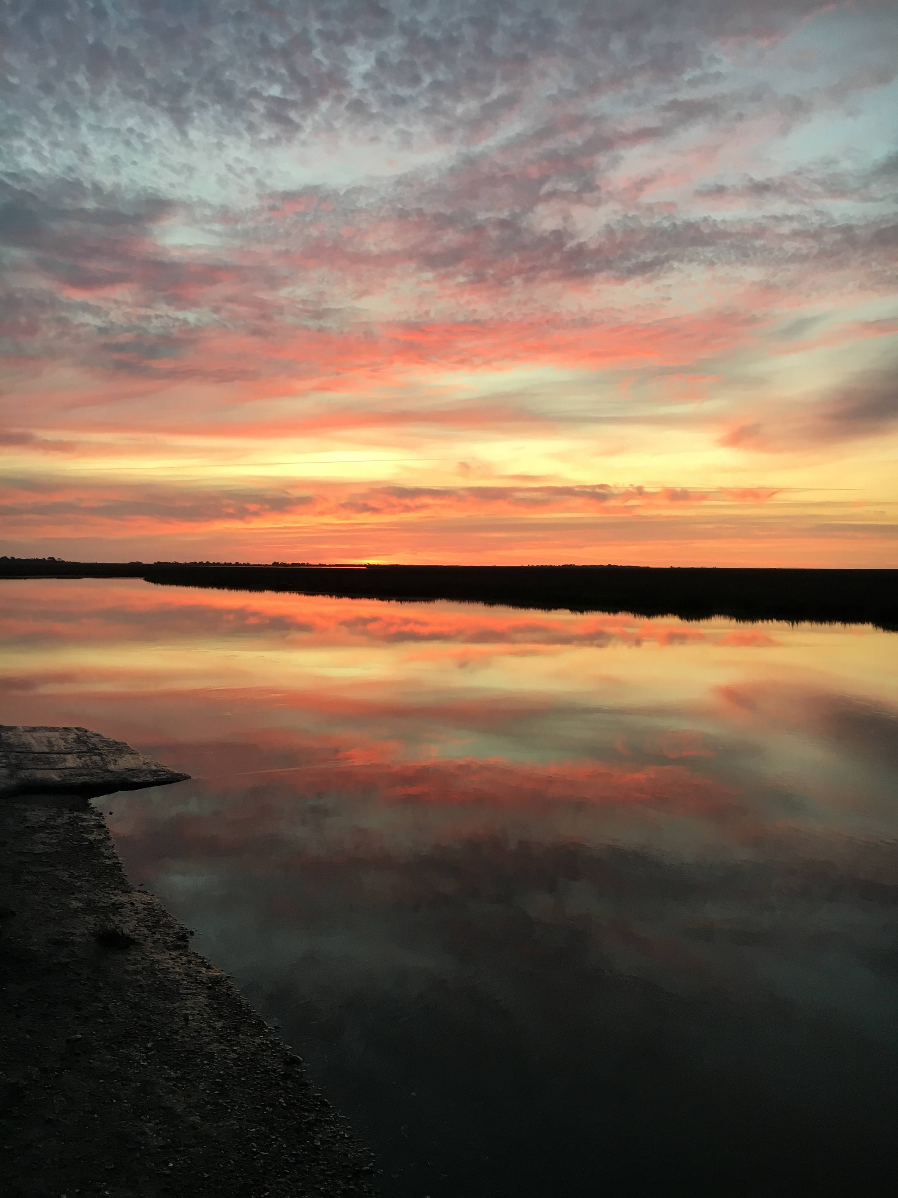 Hobcaw Barony Clambank Dawn 1-Hammock-Coast-South-Carolina