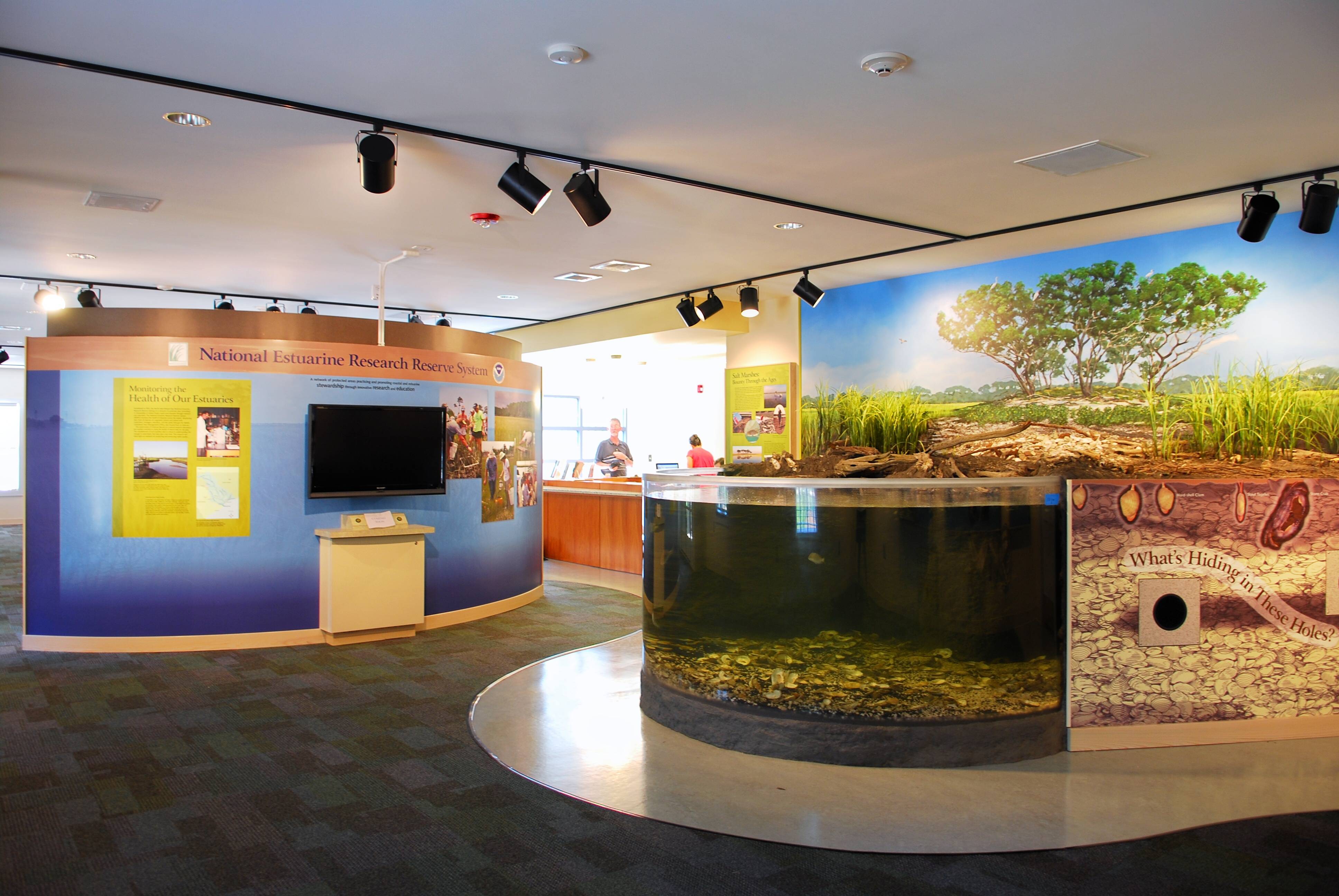 Hobcaw Barony Discovery Center-Hammock-Coast-South-Carolina