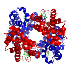 1GZX Haemoglobin.png