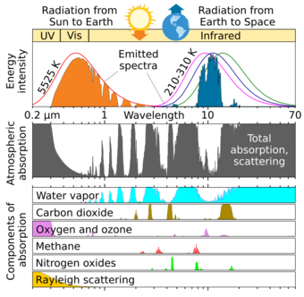 refer to caption and adjacent text