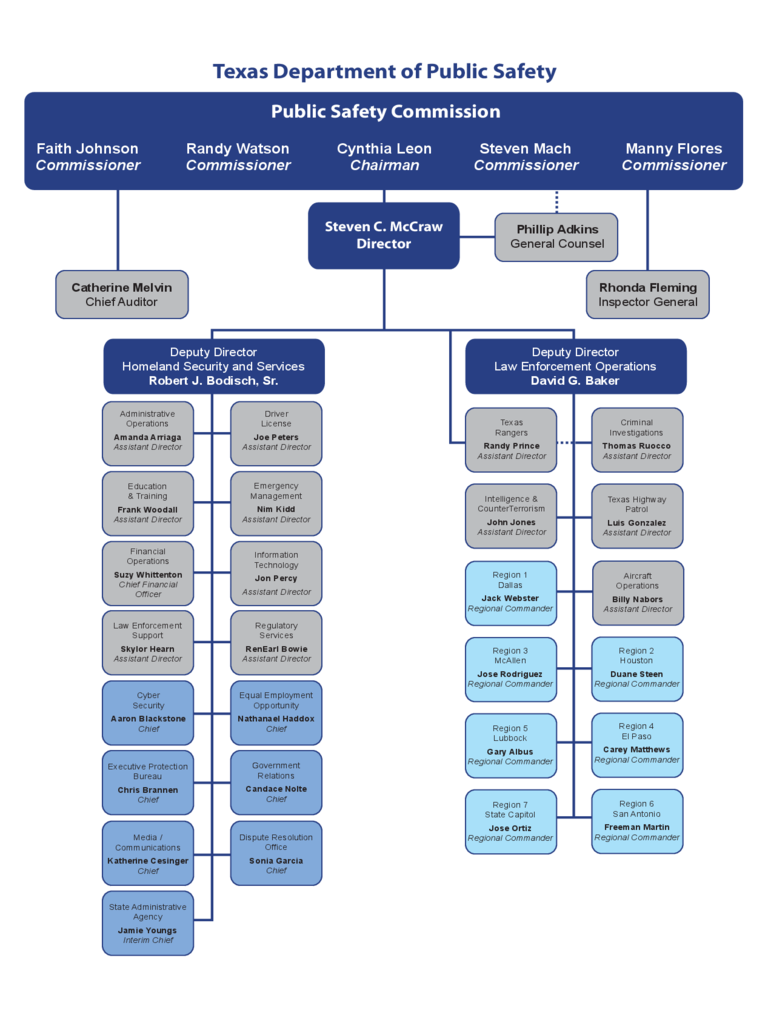 Texas DSHS Organizational Chart