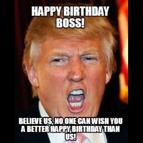 Happy Birthday Boss Memes