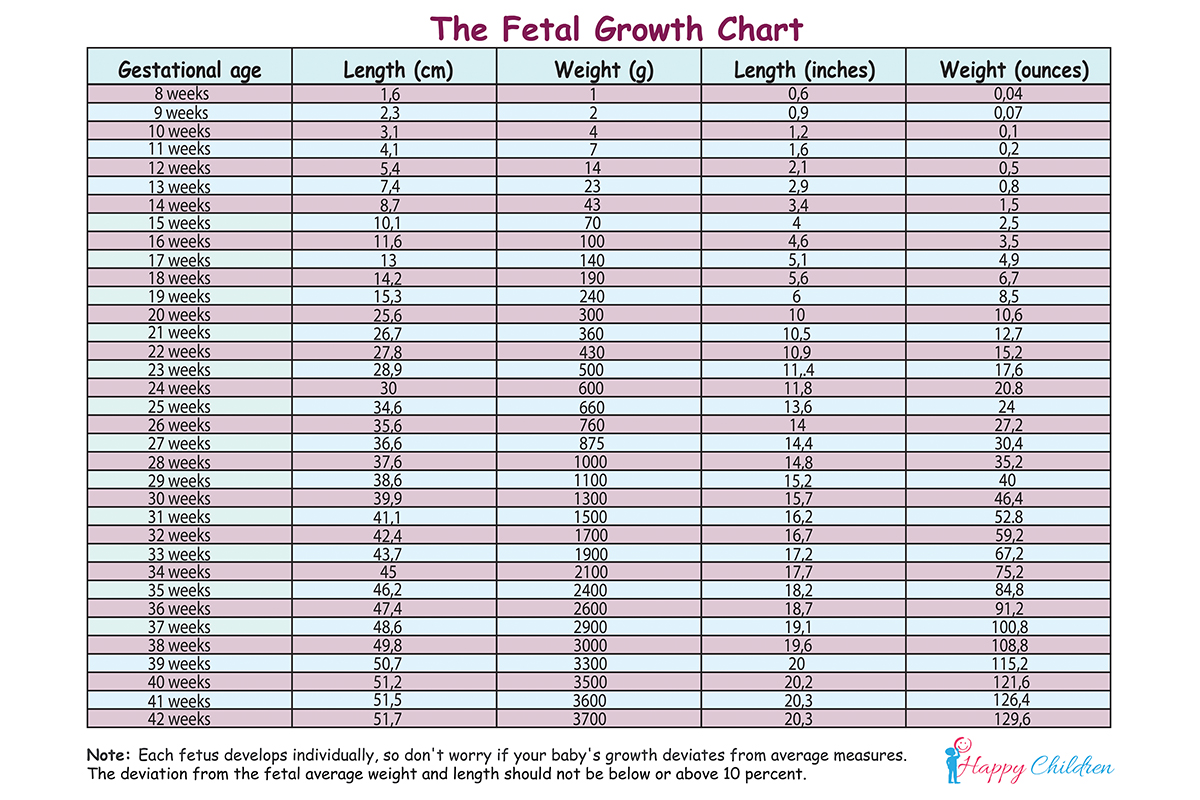 Fetal Weight Percentile Chart