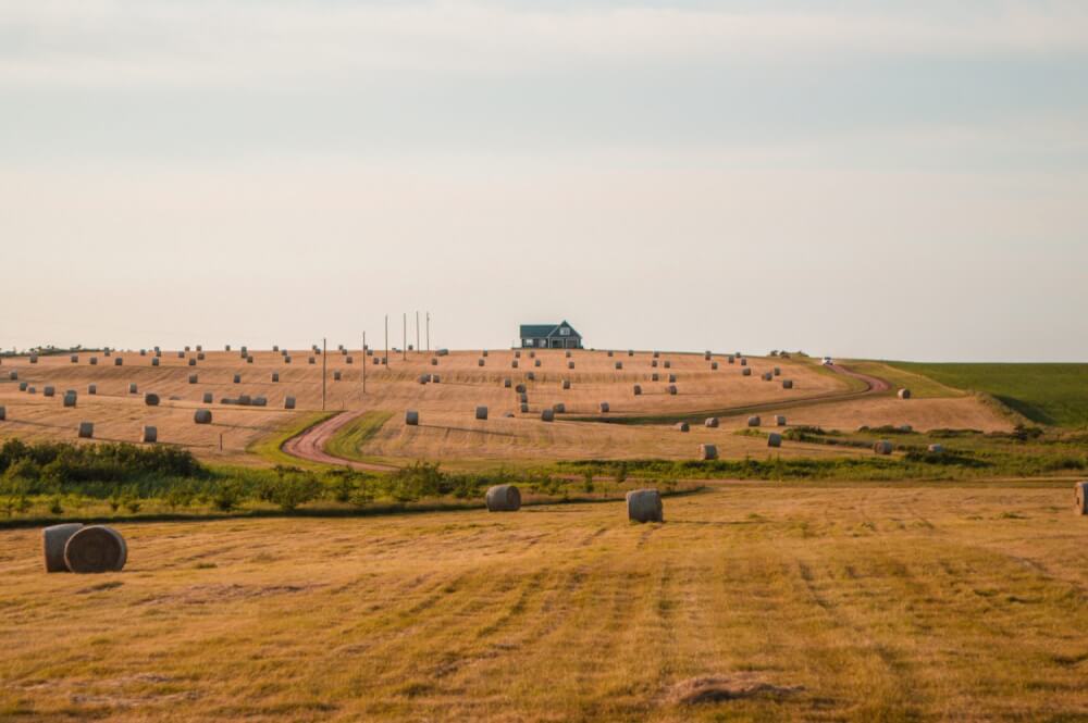 WOW! Prince Edward Island, Canada is definitely an underrated destination. Check out these great photos of Prince Edward Island to see why. #PEI #Canada