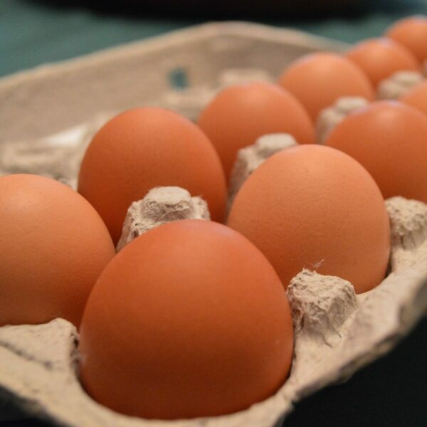 local chicken eggs