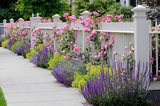 garden design ideas lavender photo - 1