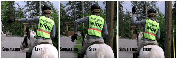 Rider Signals Road Crossing Horse Council