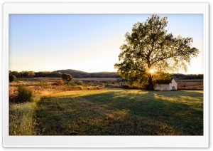 House, Tree, Landscape Ultra HD Wallpaper for 4K UHD Widescreen Desktop, Lockscreen, Screensaver, TV, Tablet, Smartphone