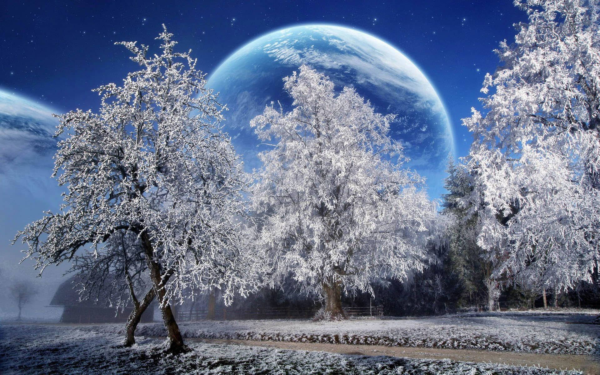 Frozen Trees Winter Scenery Digital Illustration Wallpaper