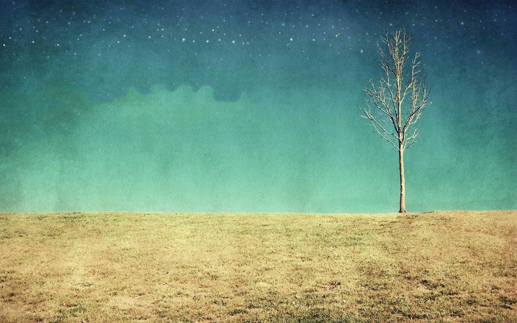 Indie Aesthetic Laptop Dead Tree On Field Wallpaper