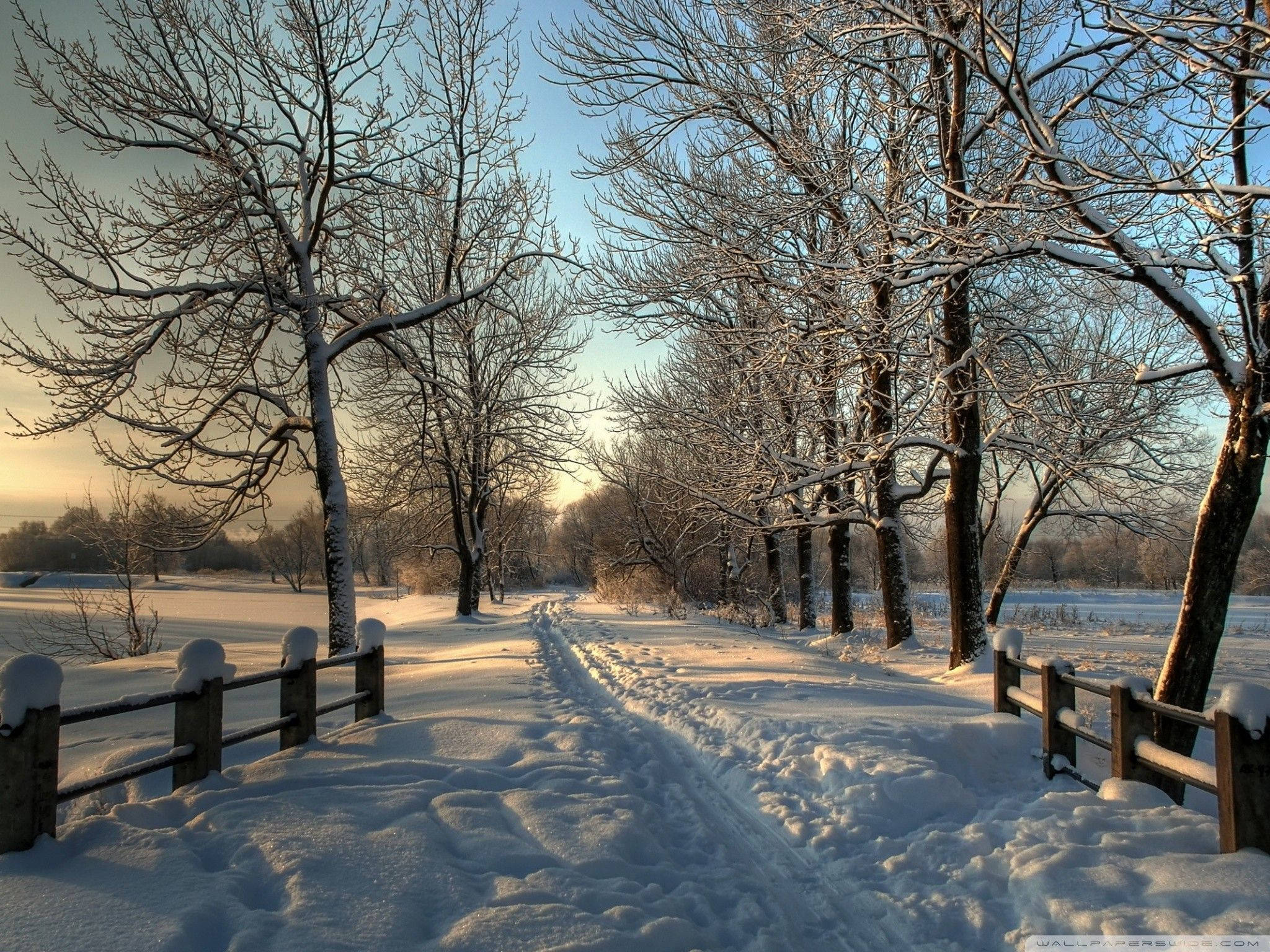 Tire Tracks In Snow Winter Scenery Wallpaper