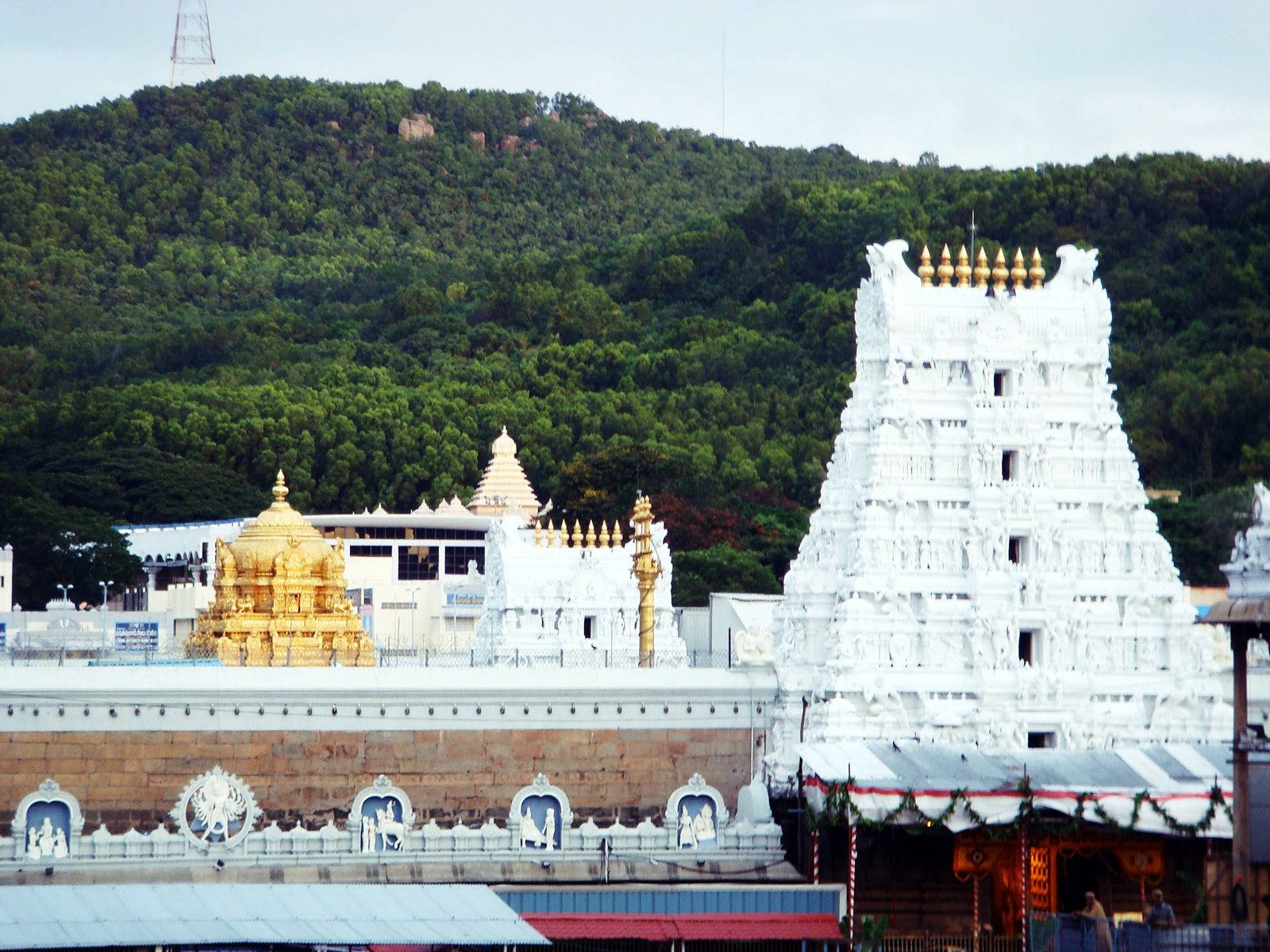 Tirupati Balaji Sri Venkateswara Swamy Vaari Temple Wallpaper