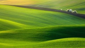 1920x1080 4k Green Hills Wallpaper