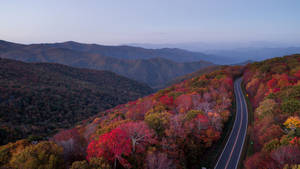 2560x1440 Fall Country Road Wallpaper