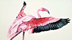 Flamingo Painting Desktop Wallpaper