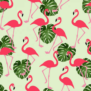 Image Tropical Paradise With Flamingos Wallpaper