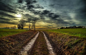 Mud Road Tire Tracks Sunset Landscape Wallpaper