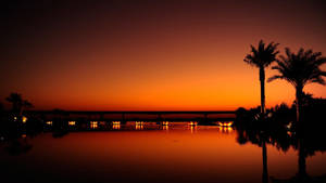 Natural Pool Palm Trees At Sunset Wallpaper