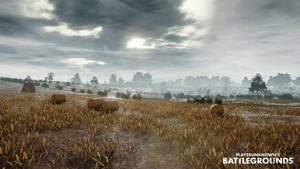 Open Field In Battleground Hd Wallpaper