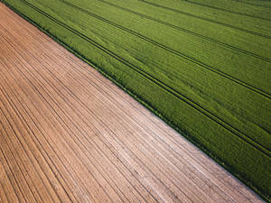 Rice Field Farm Perfect Shot Wallpaper