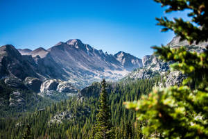 Rocky Mountain With A Huge Forest Wallpaper