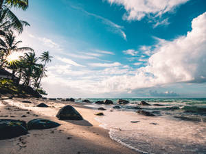 Tropical Sandy Beach And Sea Background Wallpaper