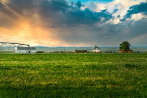 Verdant Rice Fields And Farm Surrounding Small Village Wallpaper