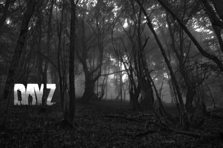 DayZ HD Wallpaper Desktop Background