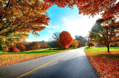 Nature Autumn Wallpaper