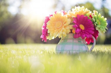 Widescreen Spring Wallpaper