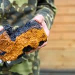 Does Chaga Mushroom Clear Toxins?