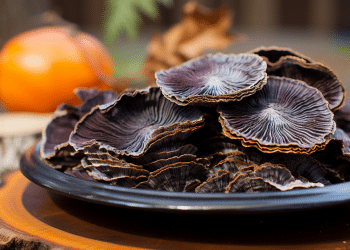 Turkey Tail Mushroom Antiviral Properties