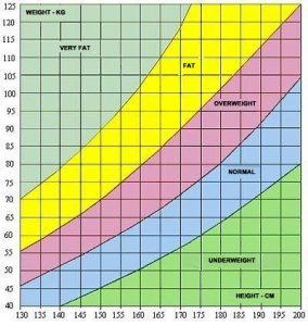 Height to Weight Ratio Chart - HealthInaSecond.com