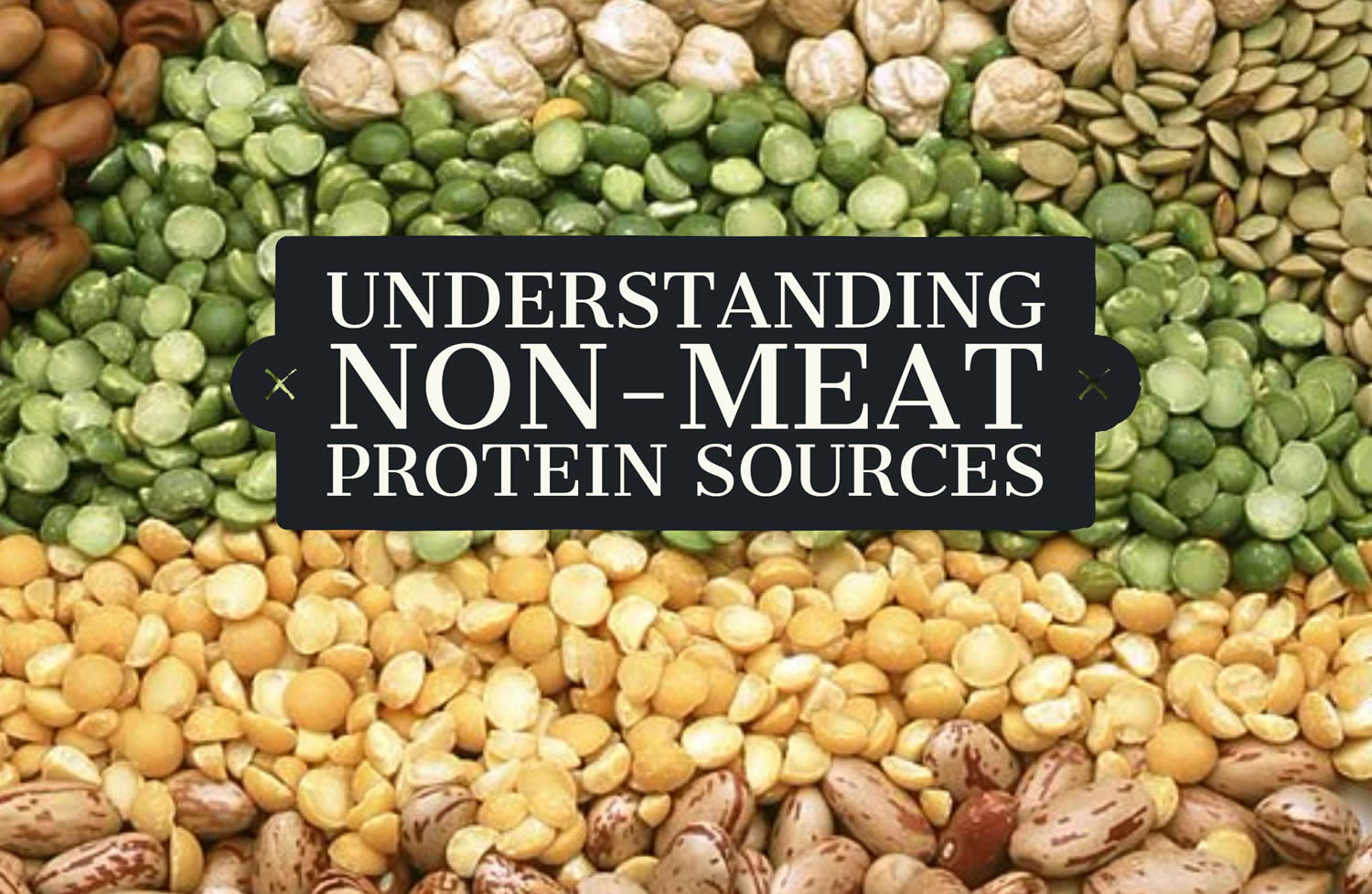 Non-Meat Protein Sources - Benefits and Risk Factors of Non-Meat Protein