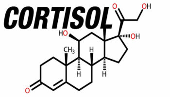 cortisol