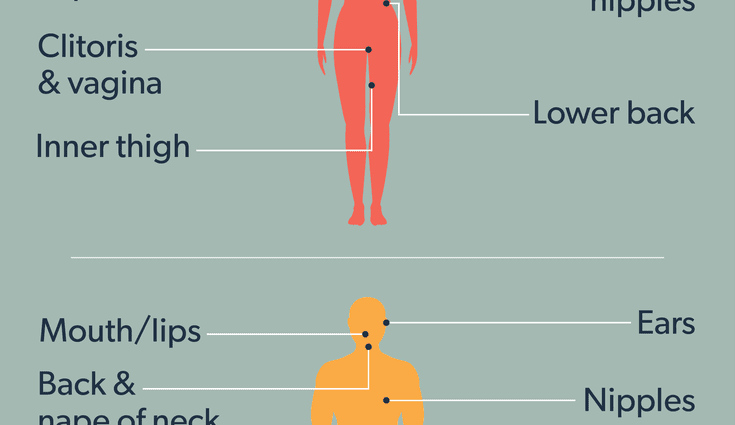 The Seven Erogenous Zones Chart Friends