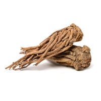 Angelica sinensis (dong quai): a cosa serve ed effetti collaterali