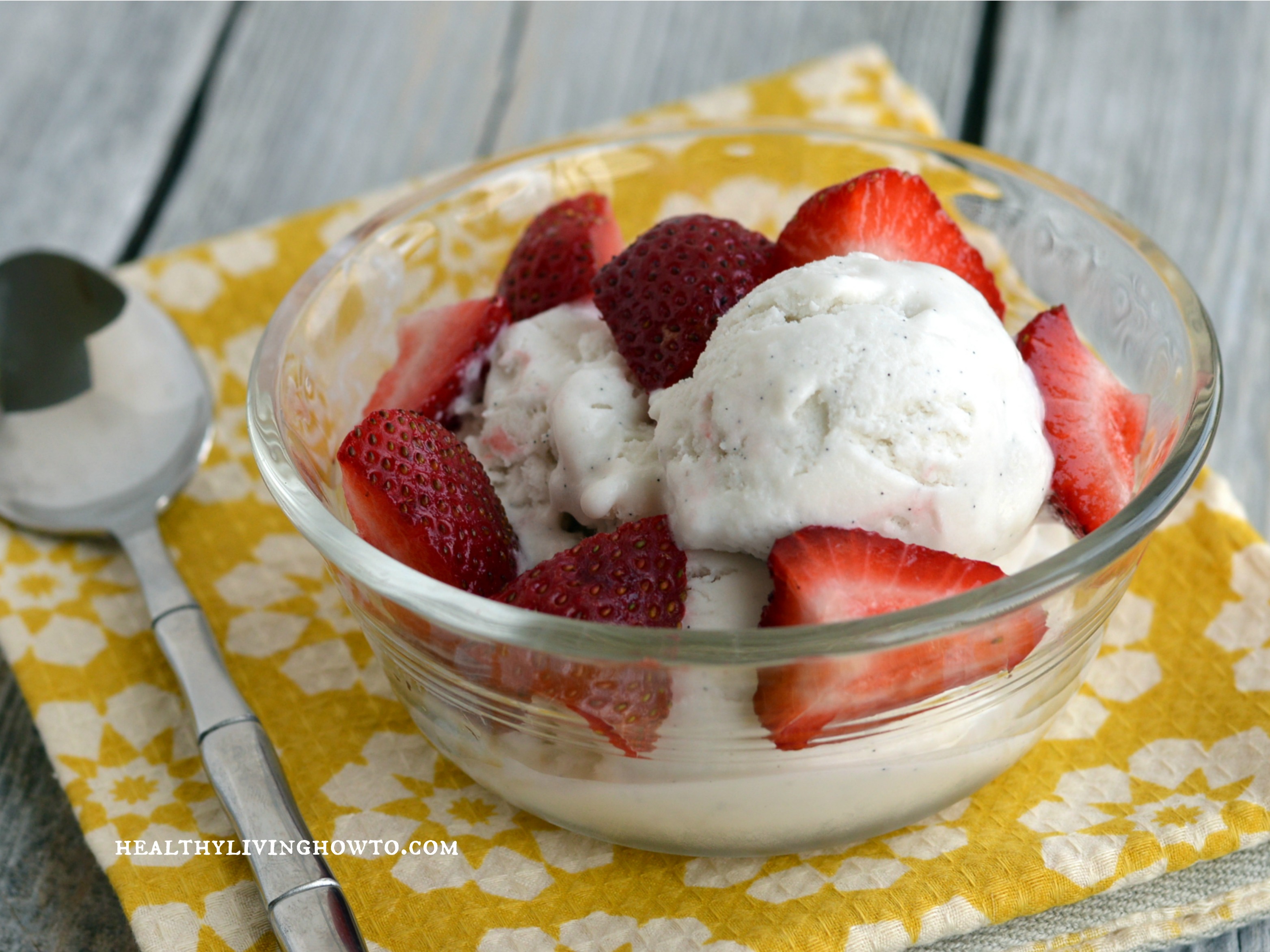 Philadelphia-Style Dairy-Free Ice Cream